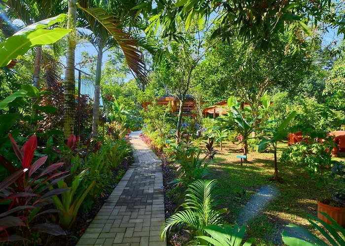 Casa Iris- Home For Family, Steps From The Beach, Pool And Yoga Deck