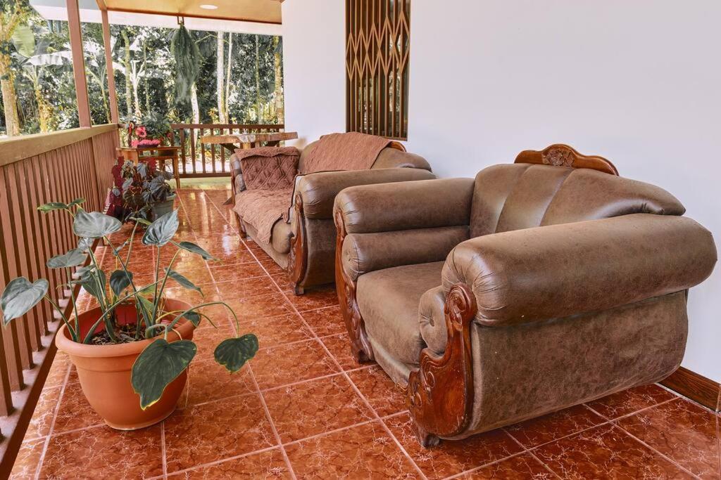 Casa Iris- For Family, Steps From The Beach, Pool And Yoga Deck Holiday home *