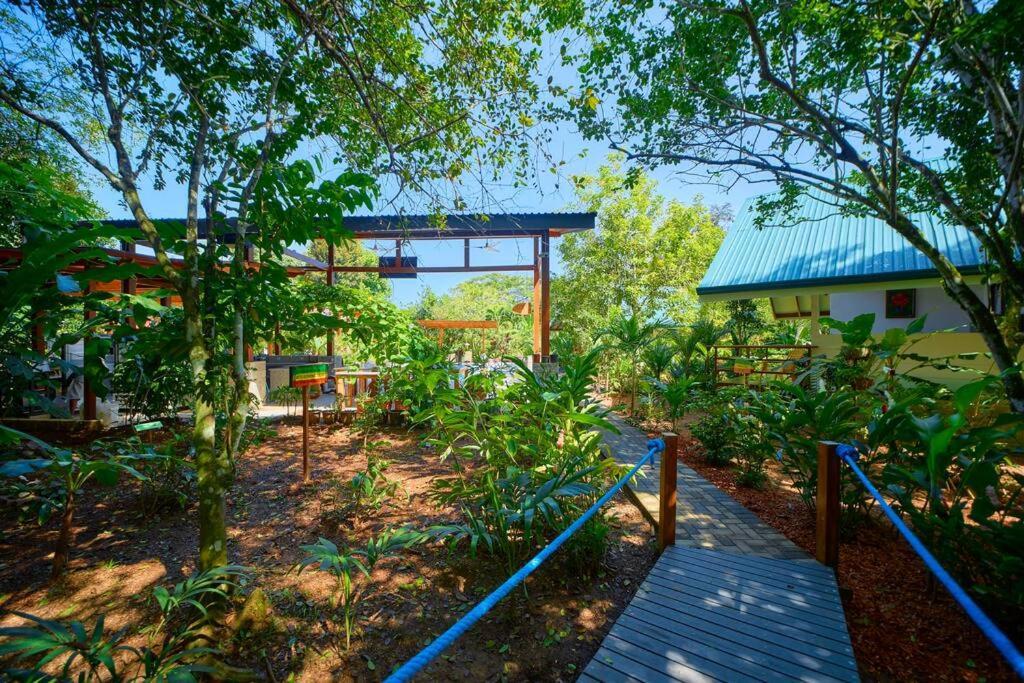 Casa Iris- For Family, Steps From The Beach, Pool And Yoga Deck Holiday home *