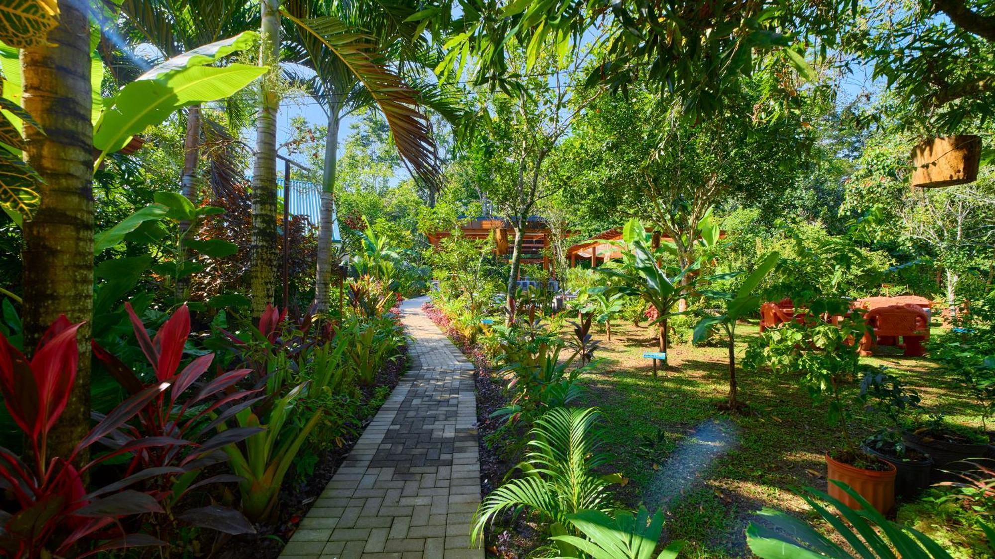 Casa Iris- For Family, Steps From The Beach, Pool And Yoga Deck Holiday home Puerto Viejo de Talamanca