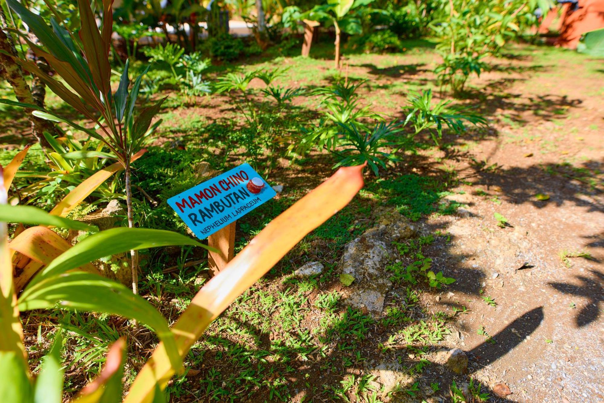 Holiday home Casa Iris- For Family, Steps From The Beach, Pool And Yoga Deck Puerto Viejo de Talamanca